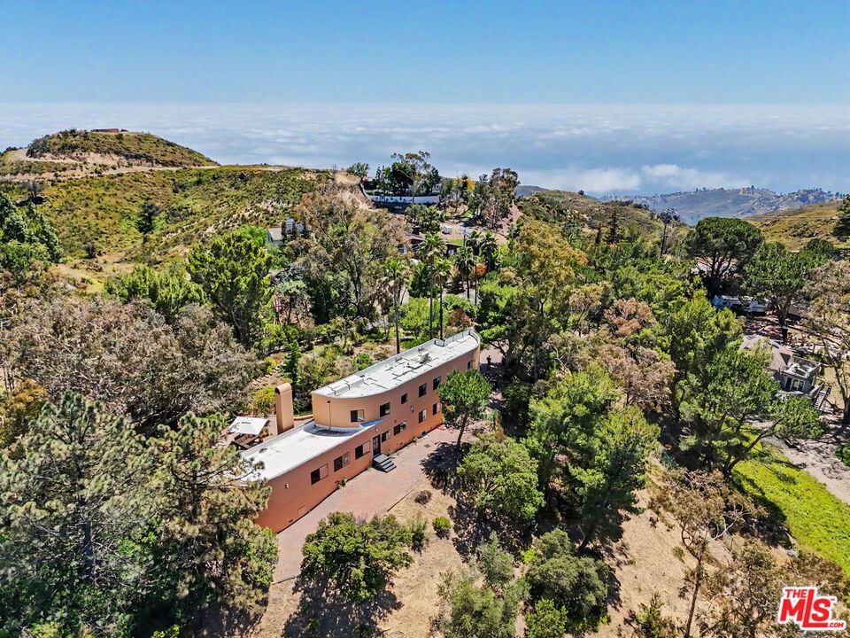Saddle Peak photo 65