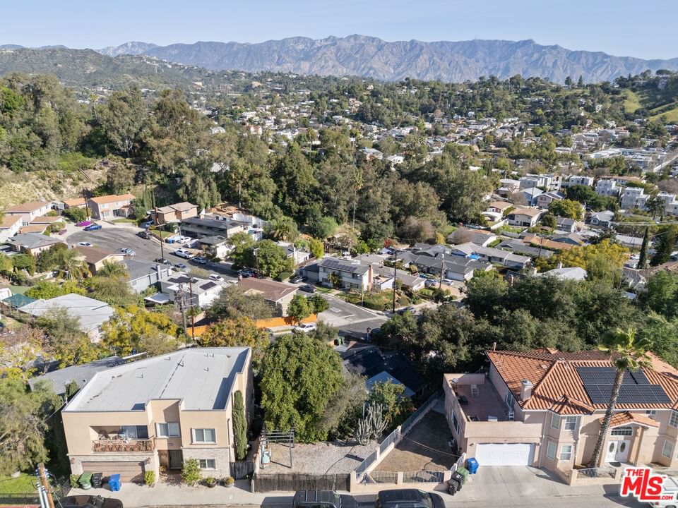 Burwood photo 26