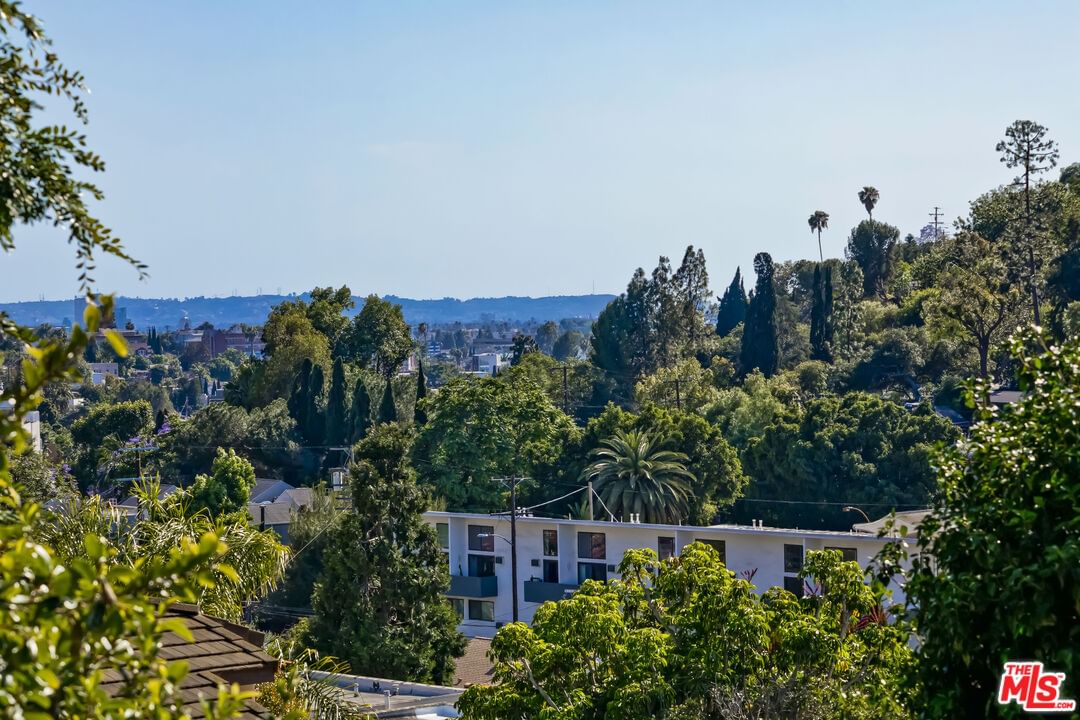 Panorama photo 24
