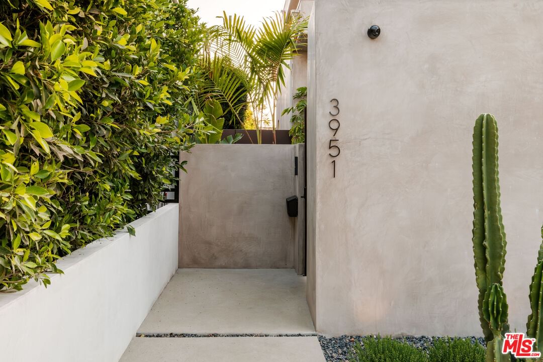 Marcasel photo 10