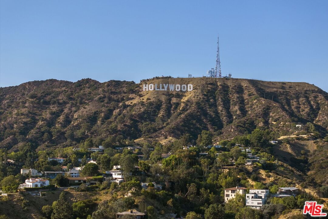 Hollyridge photo 65