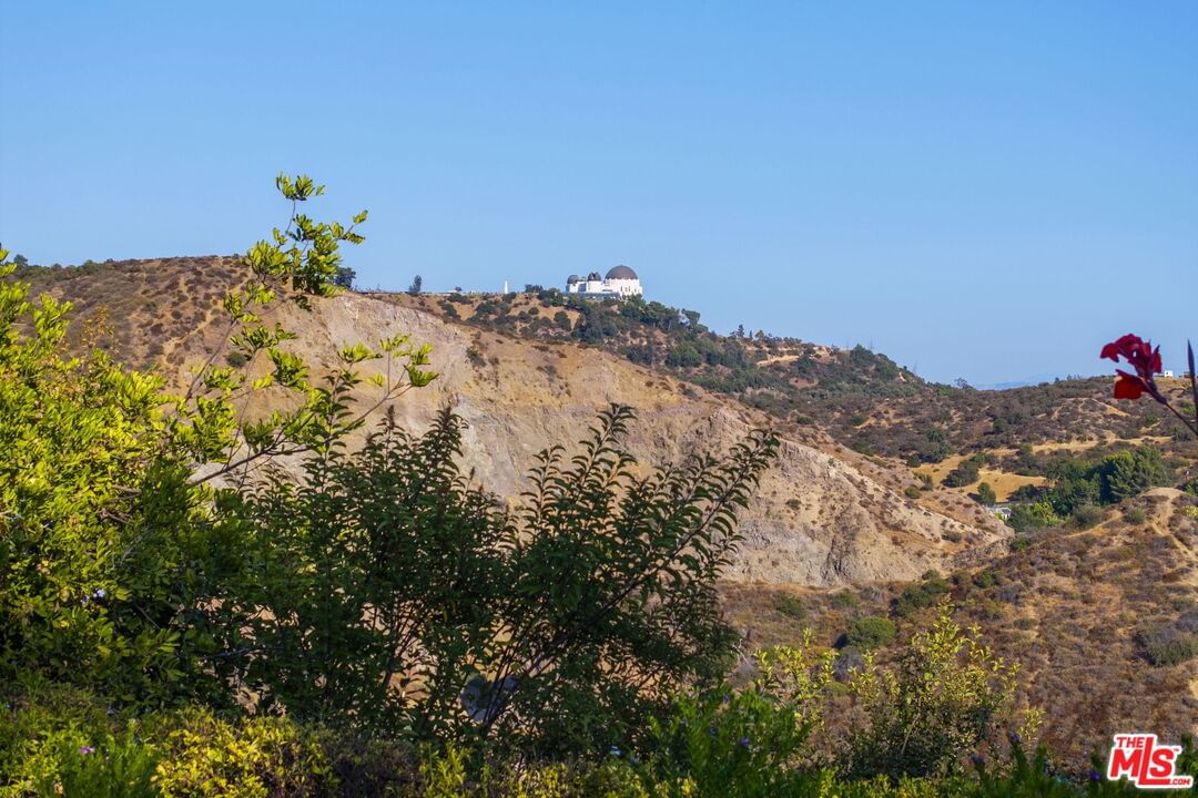 Hollyridge photo 66
