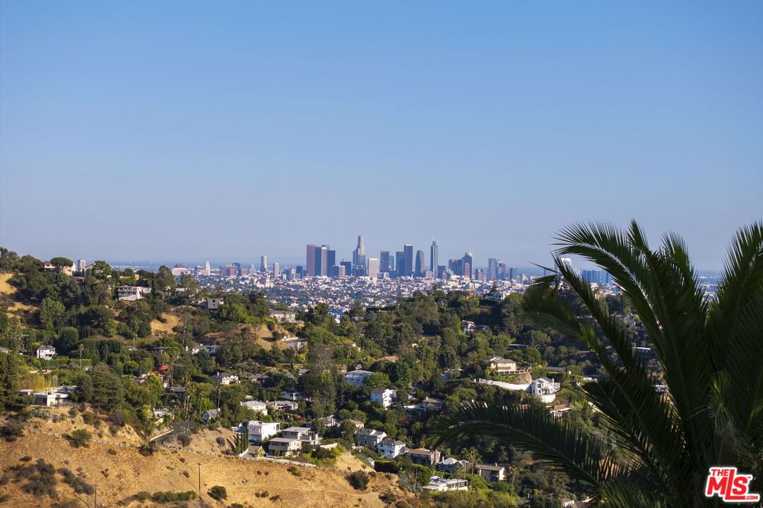 Hollyridge photo 67
