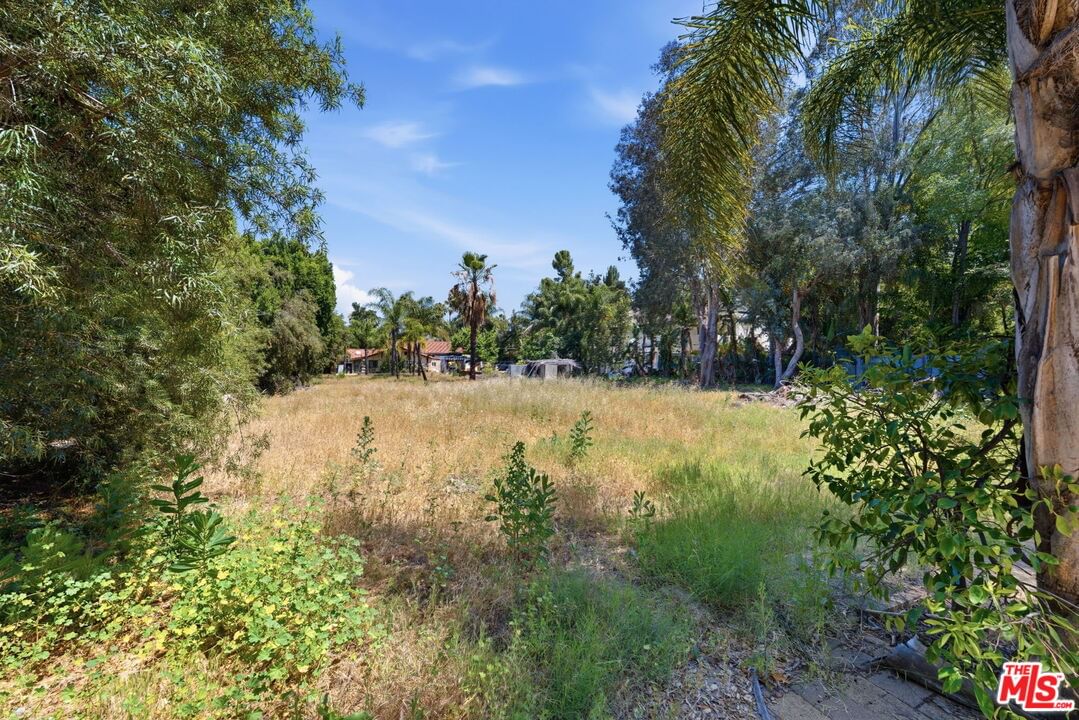 Encino photo 9