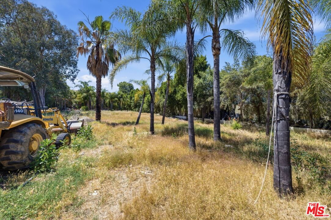 Encino photo 7
