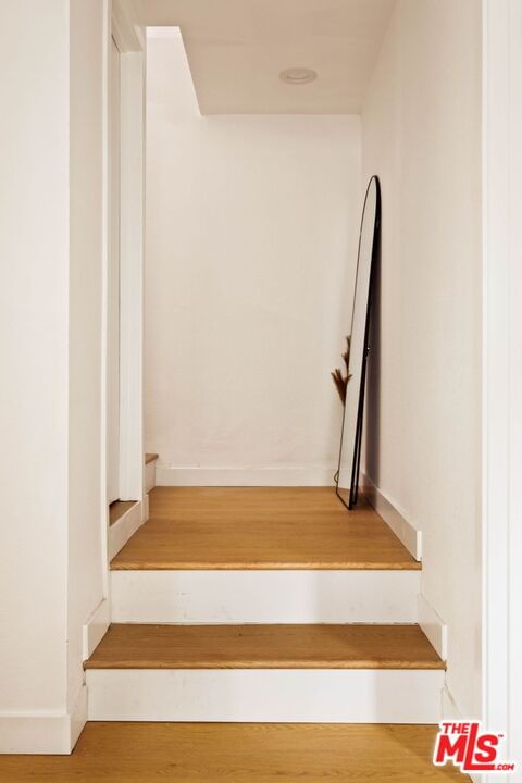 Fyler photo 14