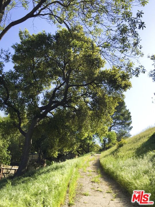 Wonderland photo 12