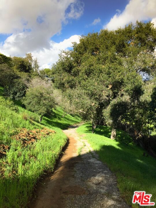 Wonderland photo 13