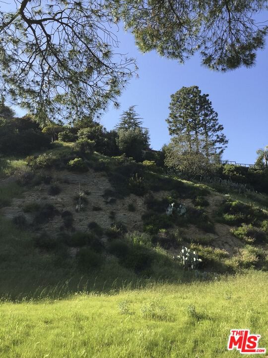 Wonderland photo 14