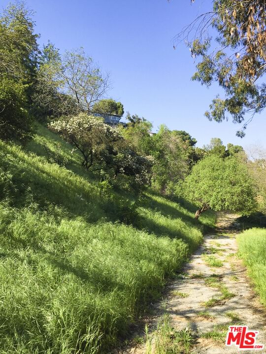 Wonderland photo 15