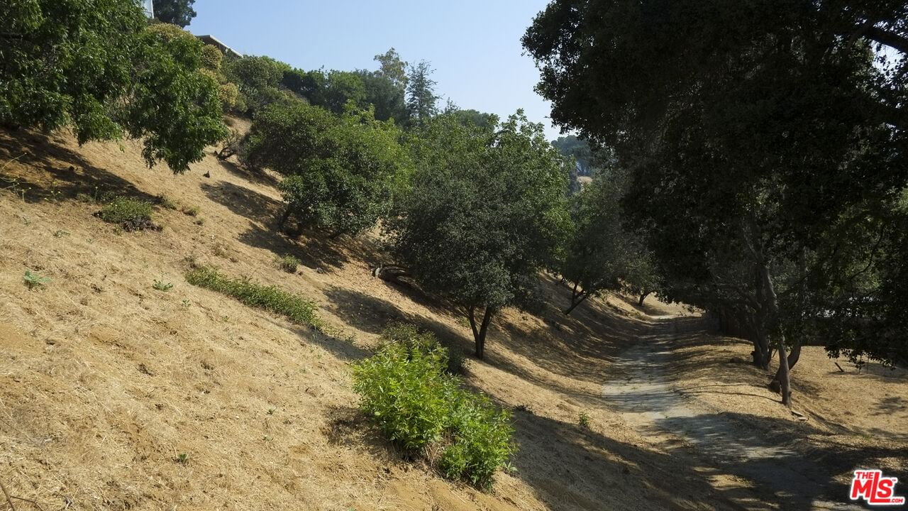 Wonderland photo 9