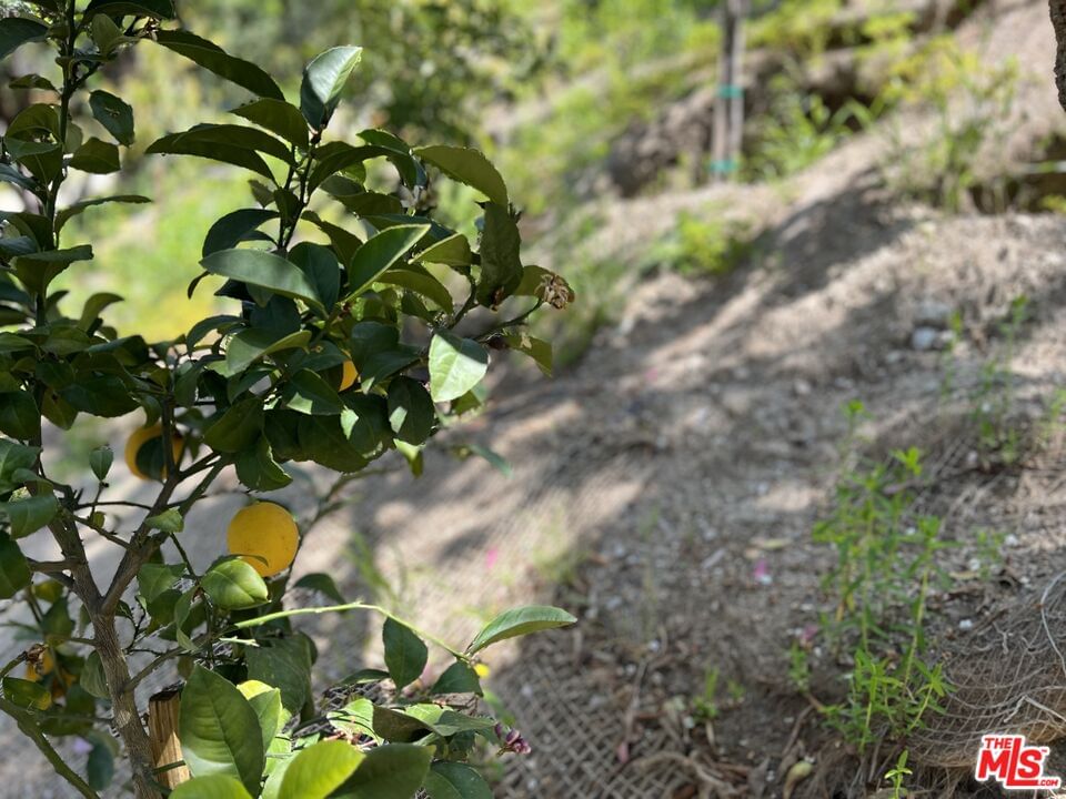 Rockpoint photo 70