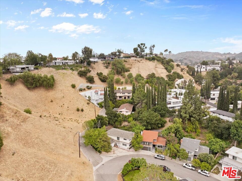 Esparto photo 55