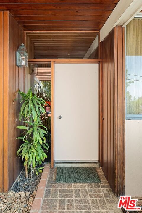 Tigertail photo 14