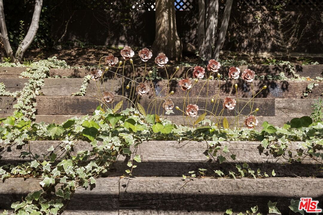 Olympiad photo 22