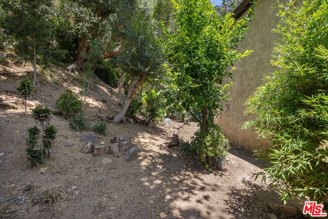 Canyon photo 26