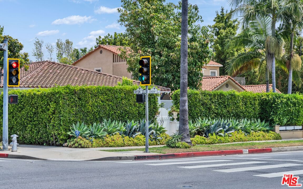 Doheny photo 41
