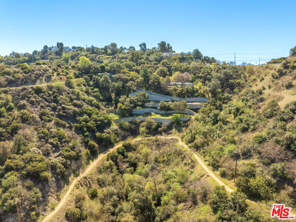 Mulholland photo 12