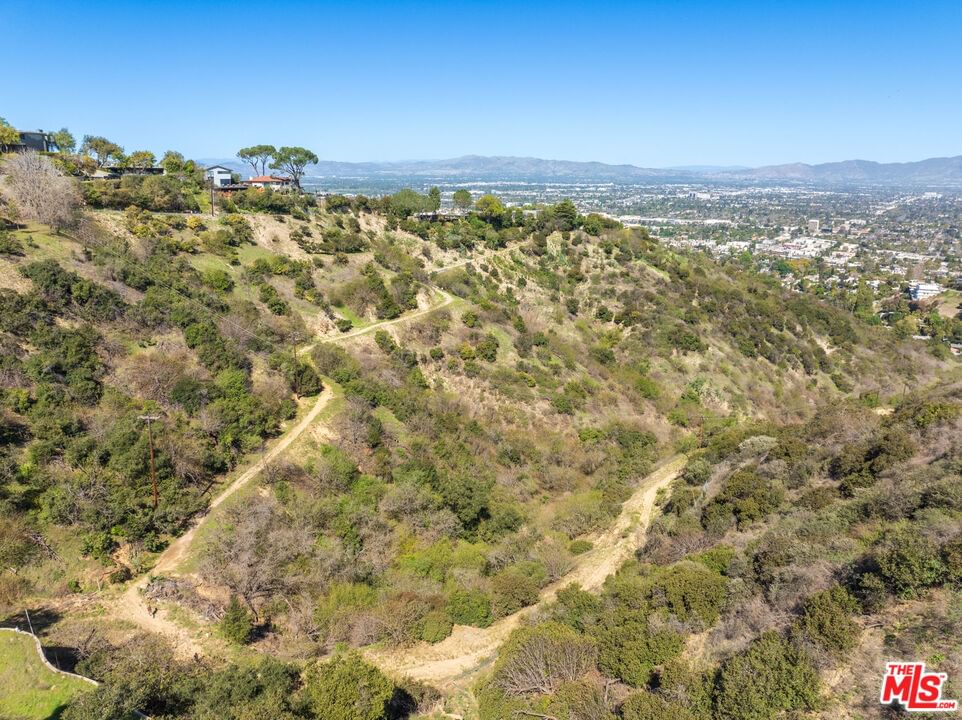 Mulholland photo 13
