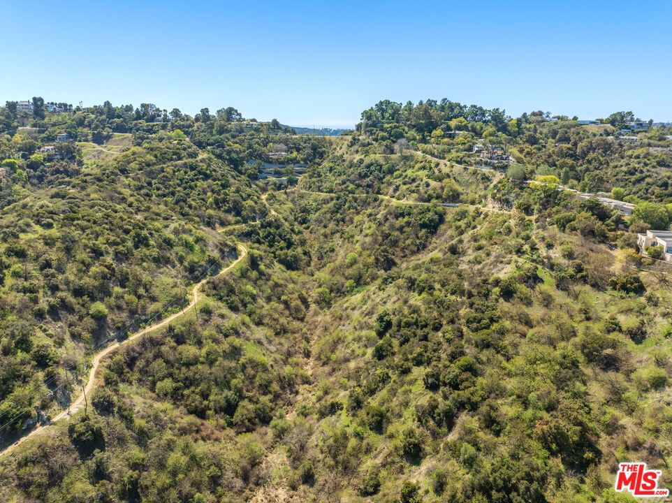 Mulholland photo 14