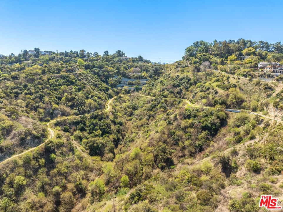 Mulholland photo 17