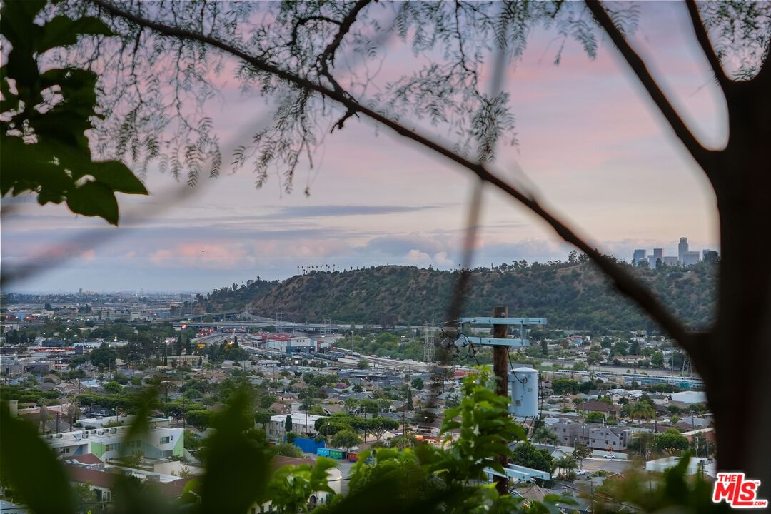 Tacoma photo 59