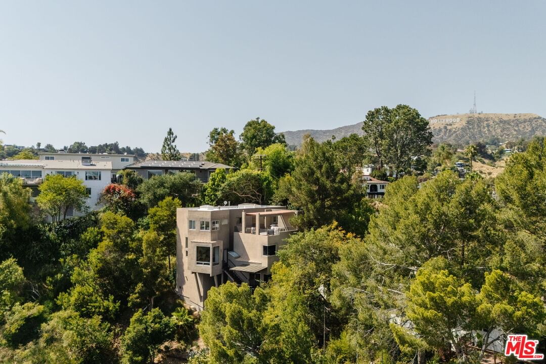 Hollyridge photo 44