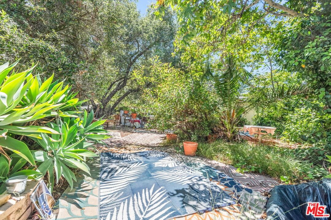 Mulholland photo 37