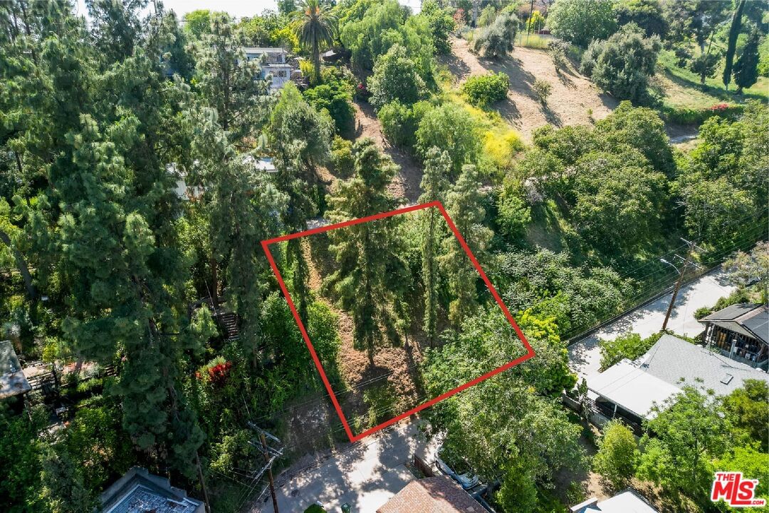 Avenue 44 photo 1