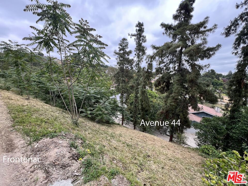 Avenue 44 photo 4