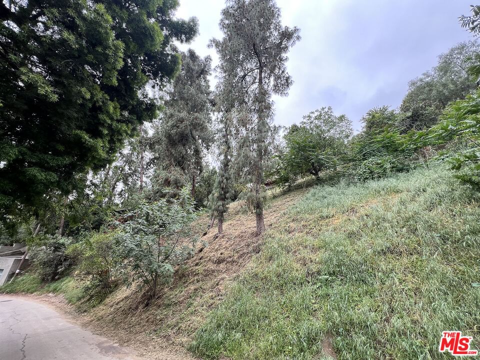 Avenue 44 photo 6