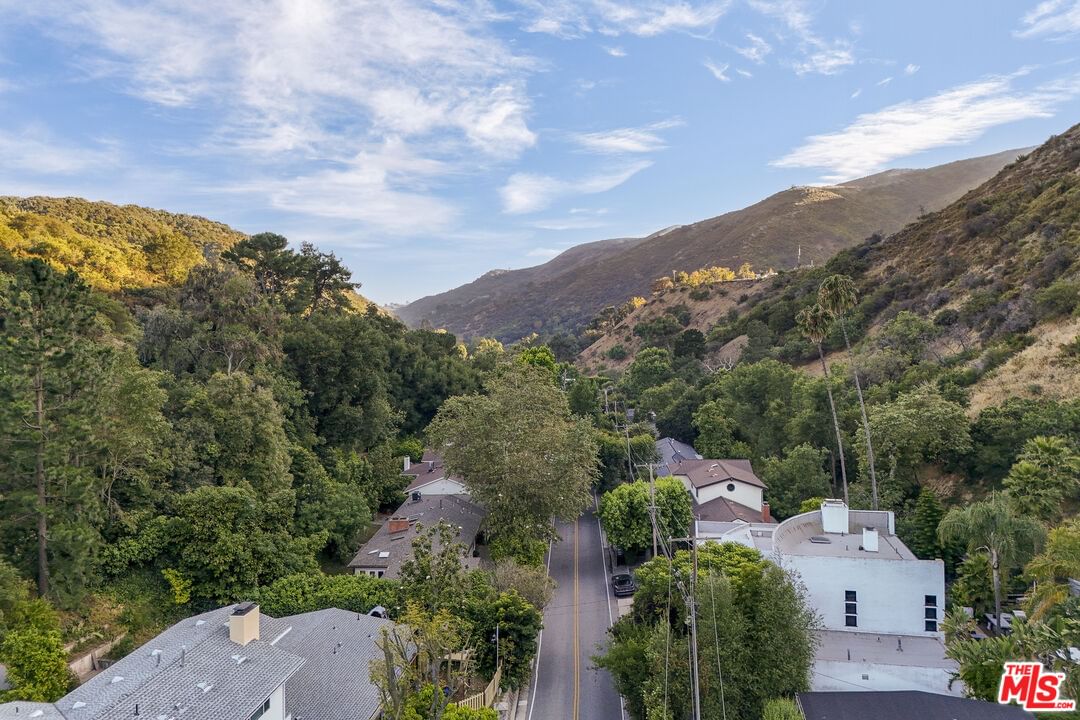 Mandeville Canyon photo 47
