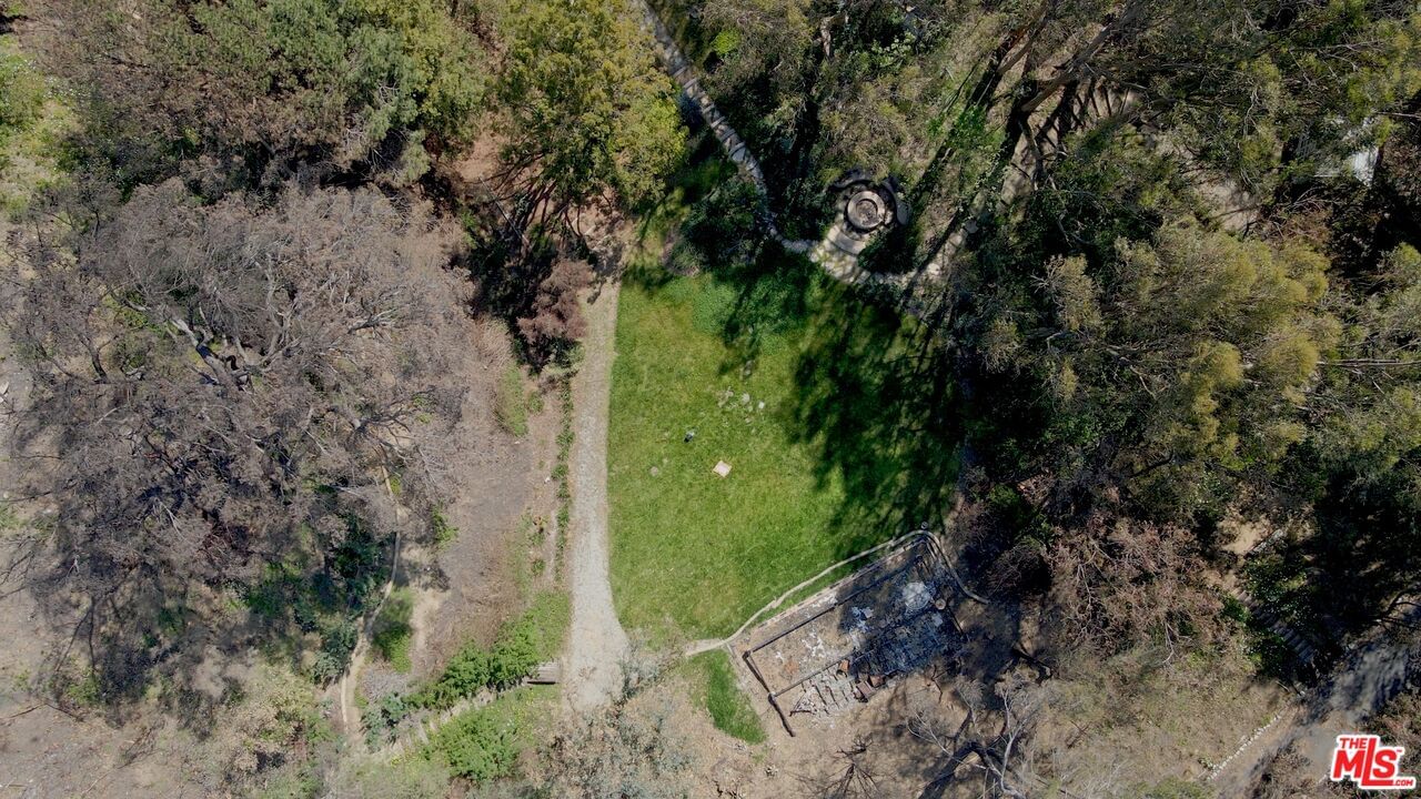 Mcanany photo 17