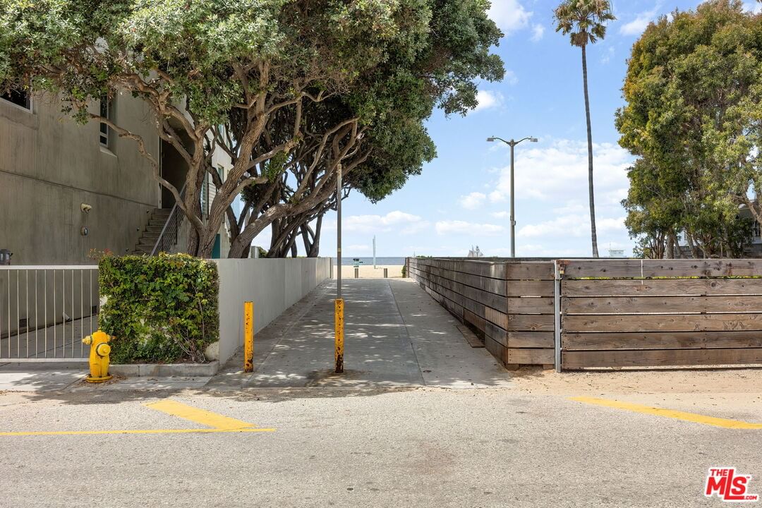 Pacific photo 35