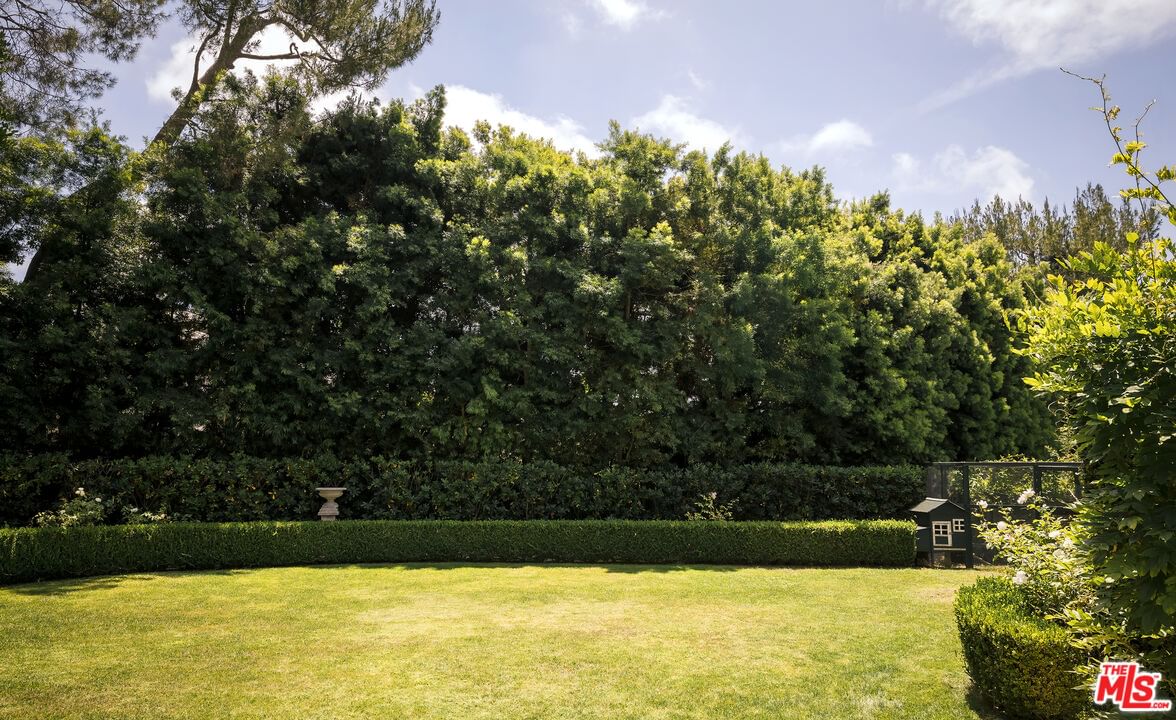 Lime Orchard photo 41