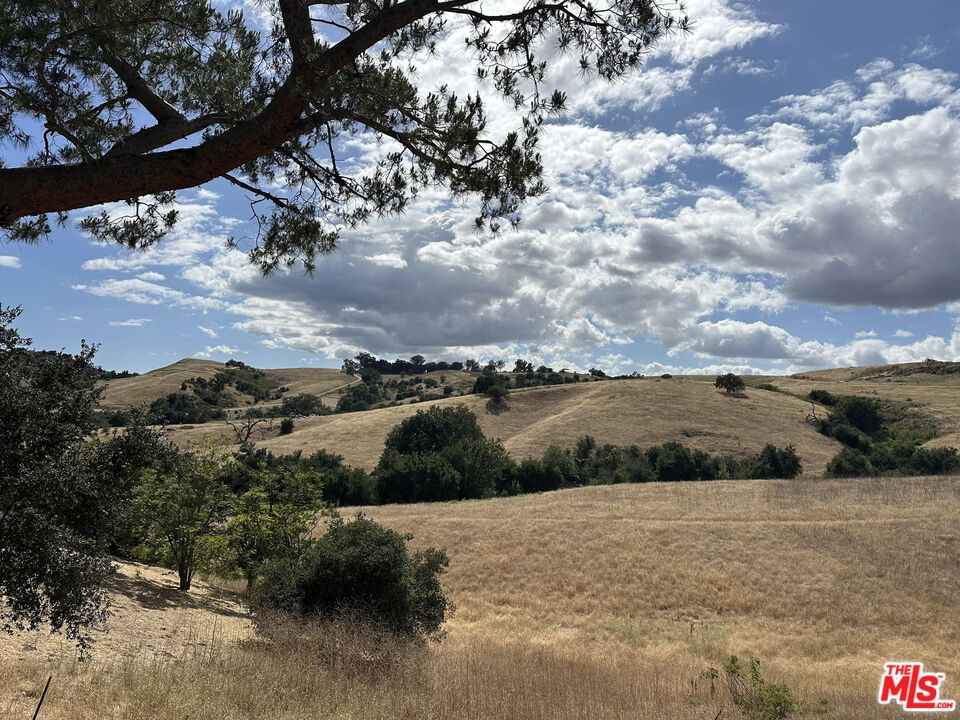 Eldorado Meadow photo 13