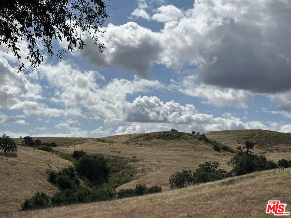 Eldorado Meadow photo 16