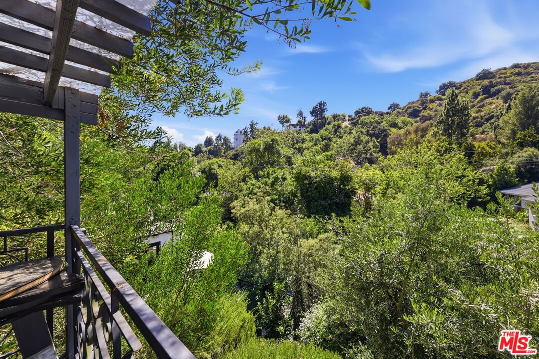 Benedict Canyon photo 19