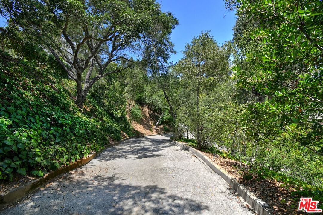 Briarvale Lane photo 55
