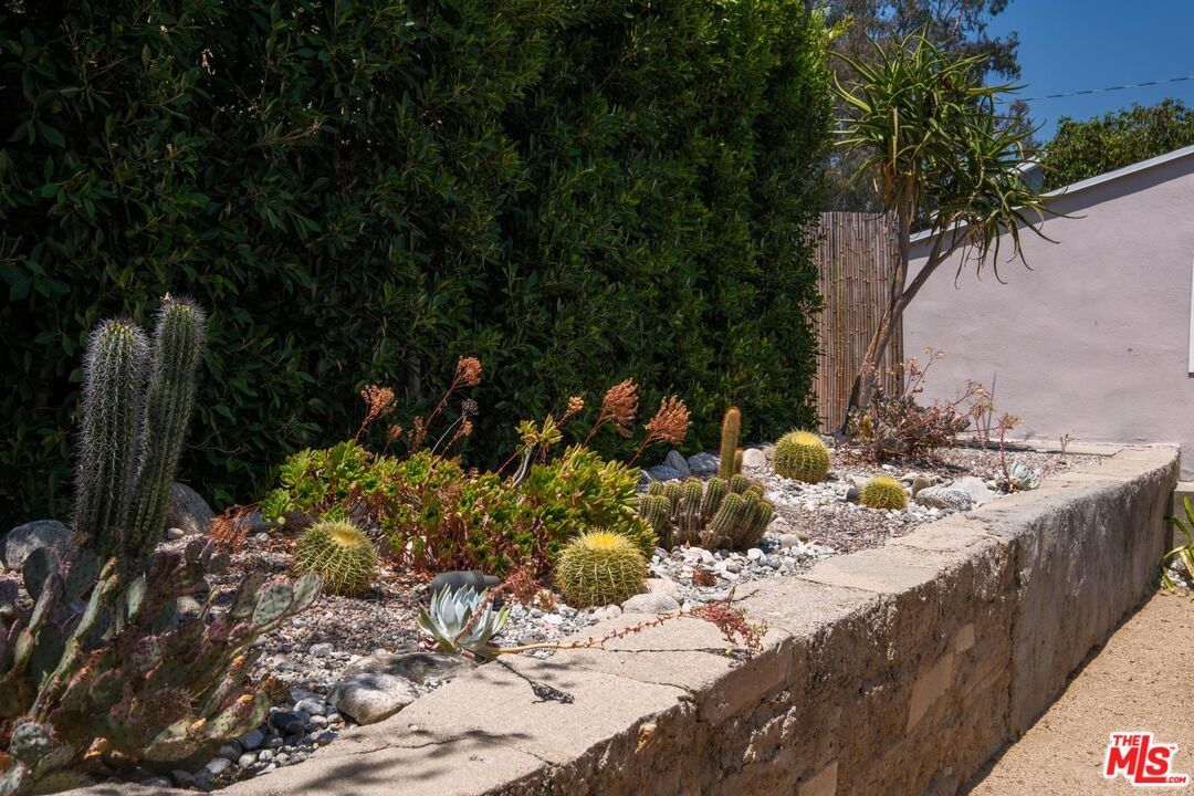 Arroyo photo 51
