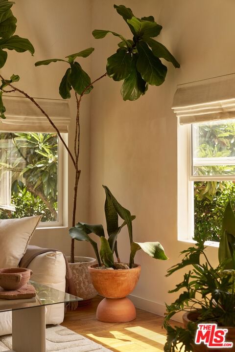 Avenue 52 photo 8