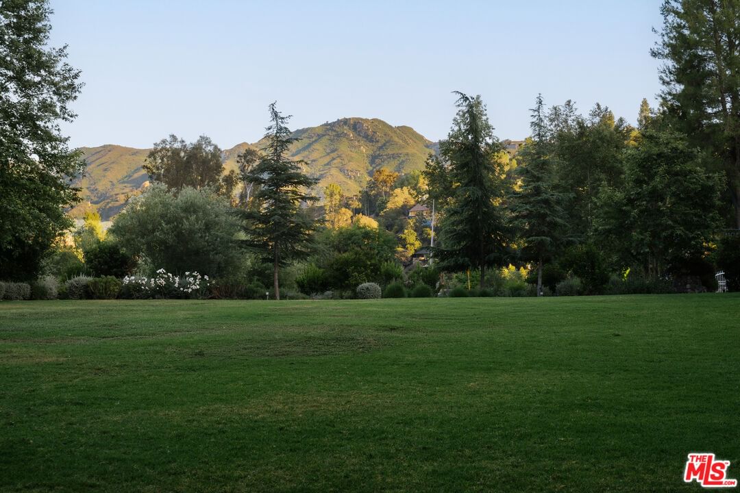 Lakeshore photo 36
