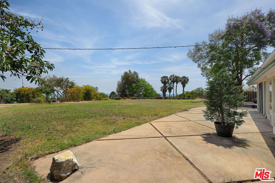 Upland photo 28
