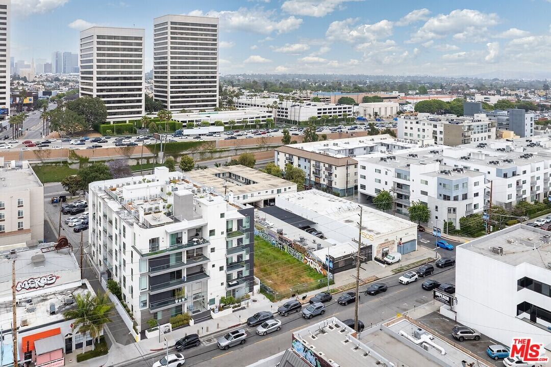 Sawtelle photo 5