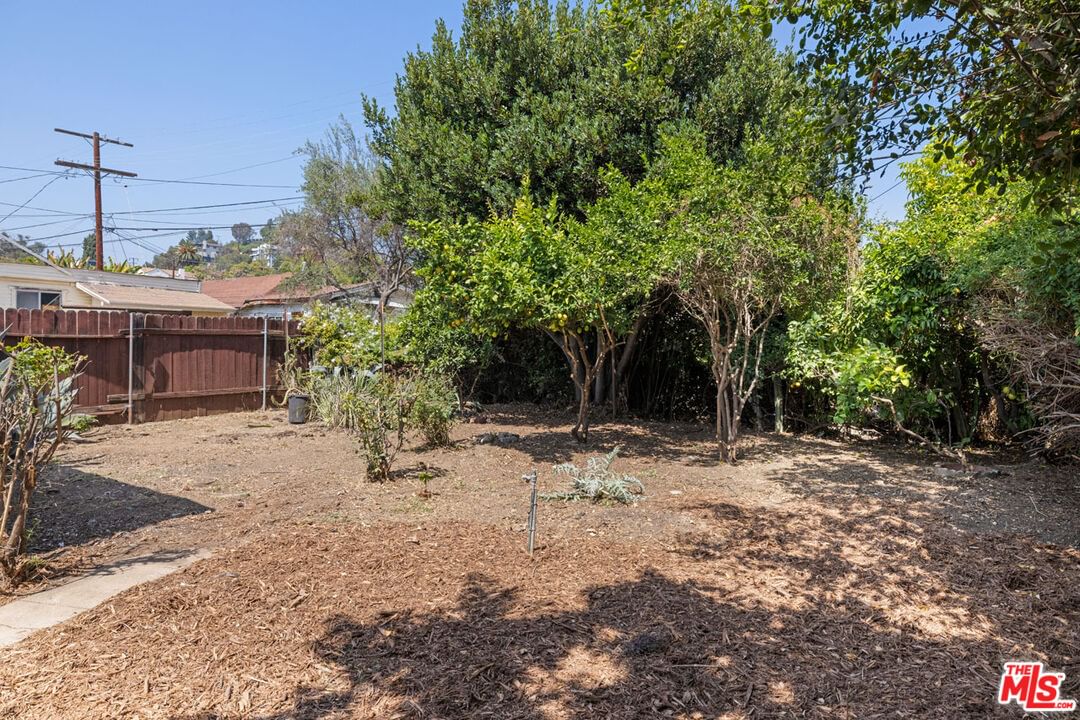 Avenue 55 photo 19
