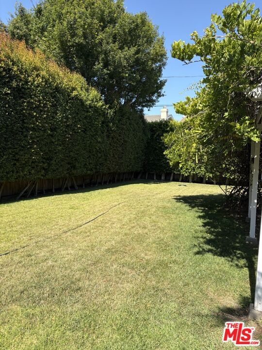 Murietta photo 3