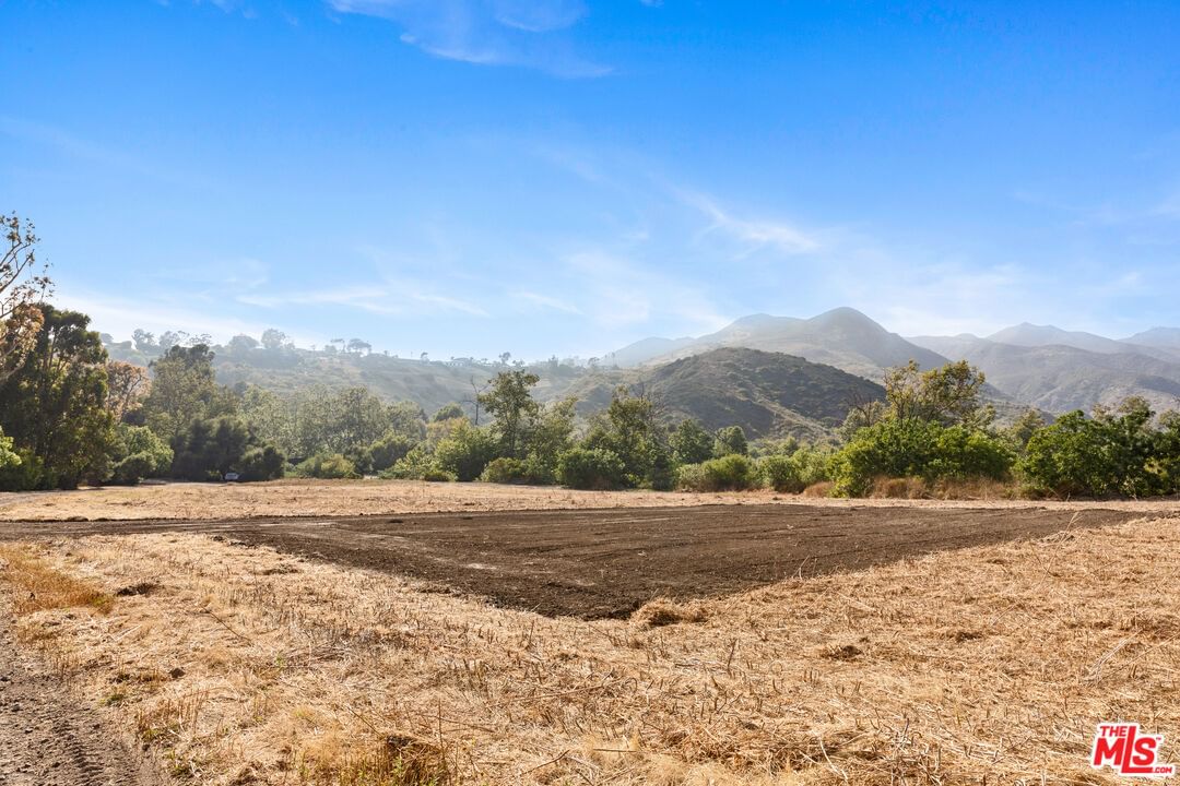 Bonsall photo 9