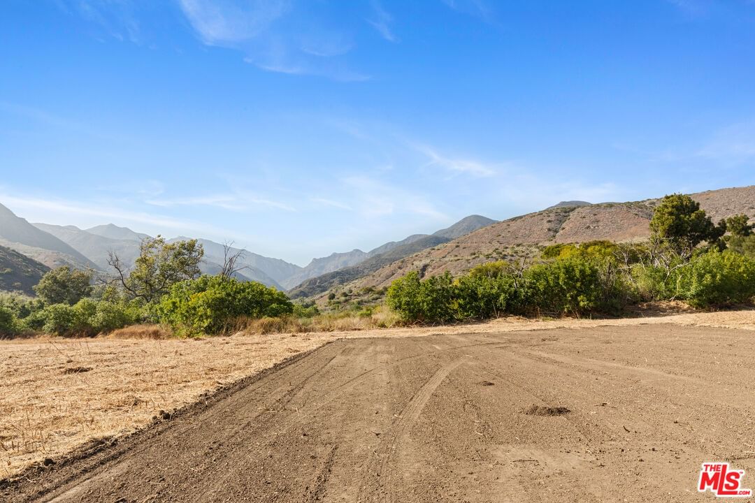 Bonsall photo 10
