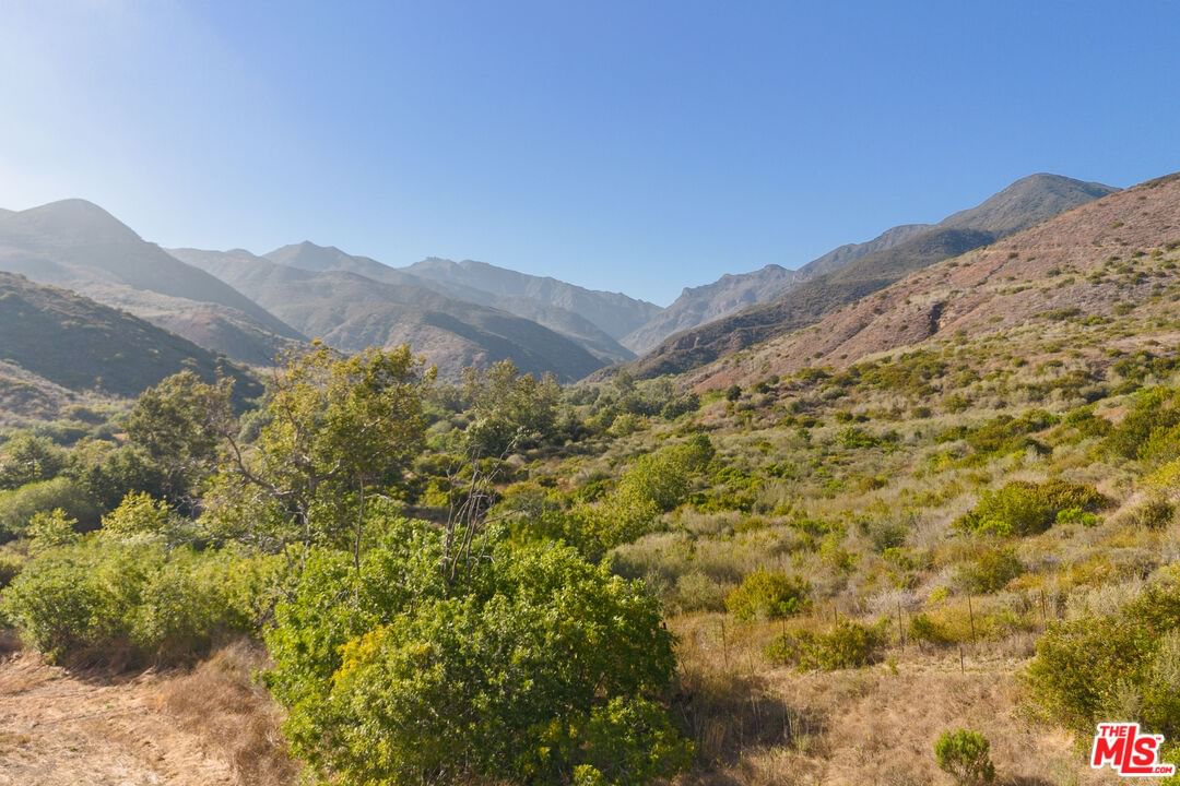 Bonsall photo 11