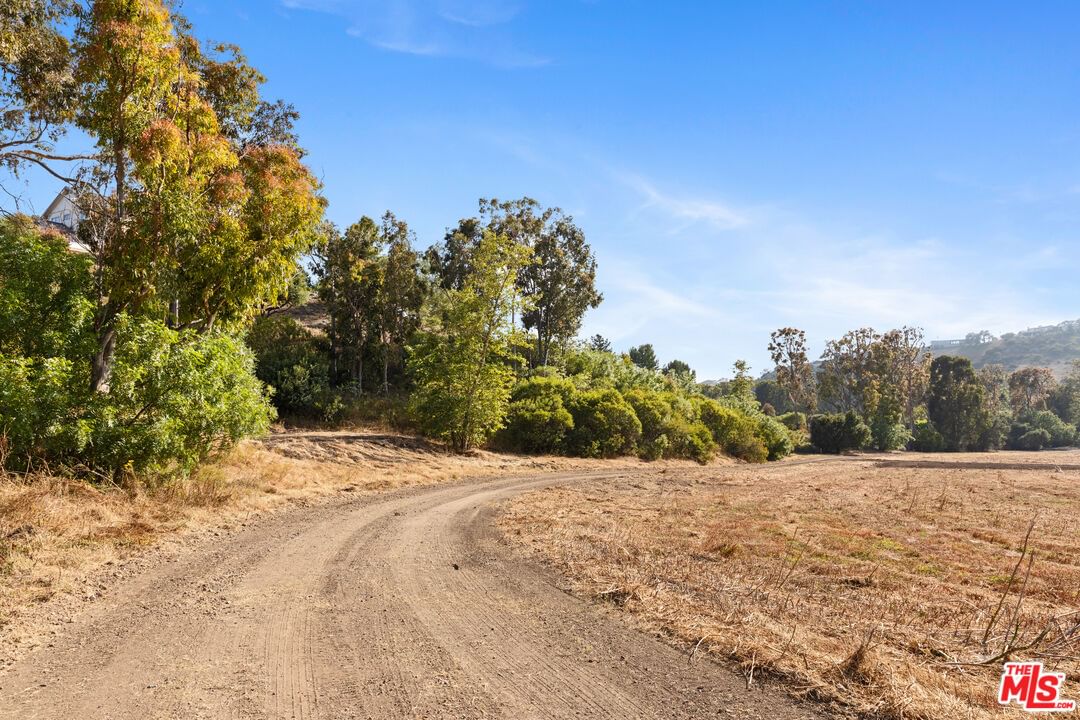 Bonsall photo 13
